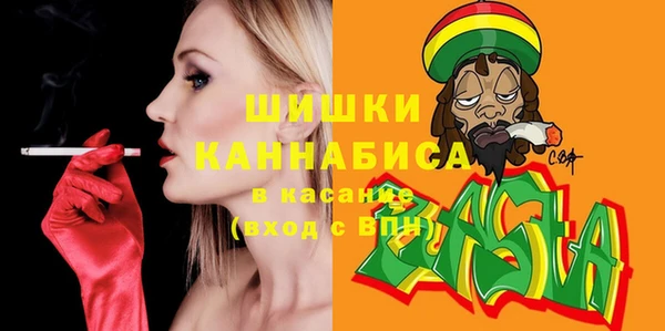 Альфа ПВП Горняк