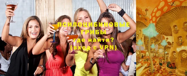 Альфа ПВП Горняк