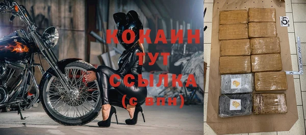 Альфа ПВП Горняк