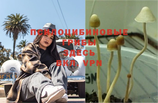 мдма Горнозаводск