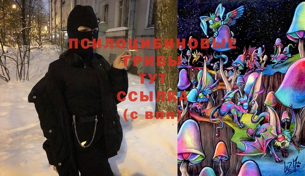 а пвп мука Горно-Алтайск