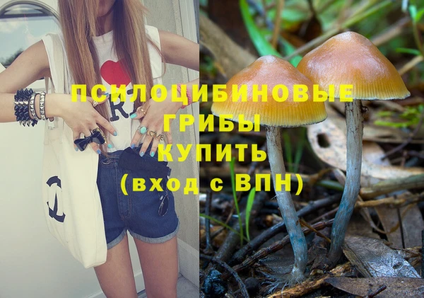 Альфа ПВП Горняк