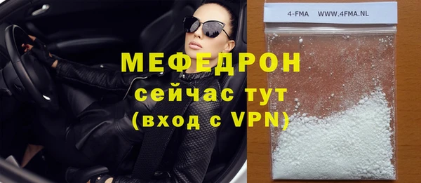 шишки Гусиноозёрск